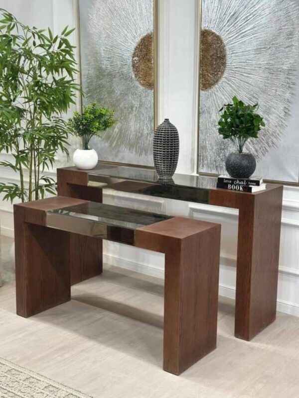 طقم مدخل تي فانا