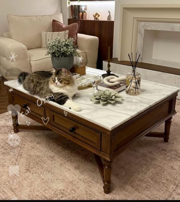 طاولة بيادر